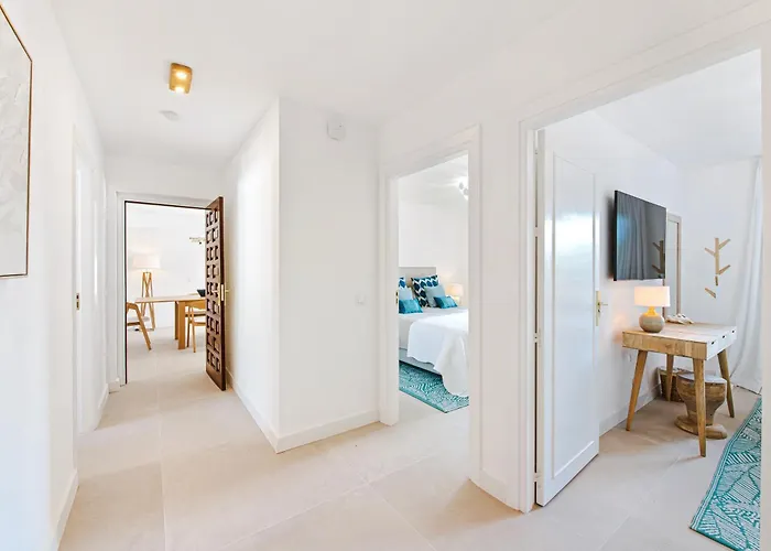 Tortuga Benamara * エステポナ