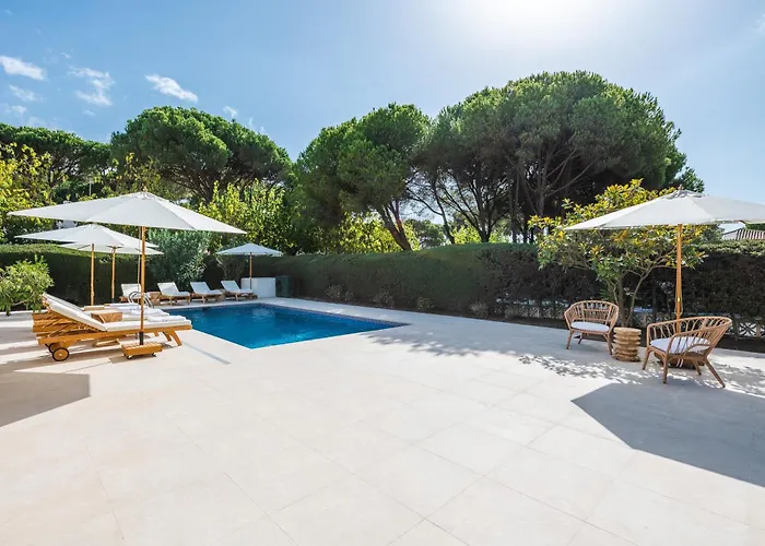 Tortuga Benamara * エステポナ